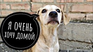 Есть ли шанс на счастливую жизнь❤ после того,как ты оказался на улице никому  ненужным