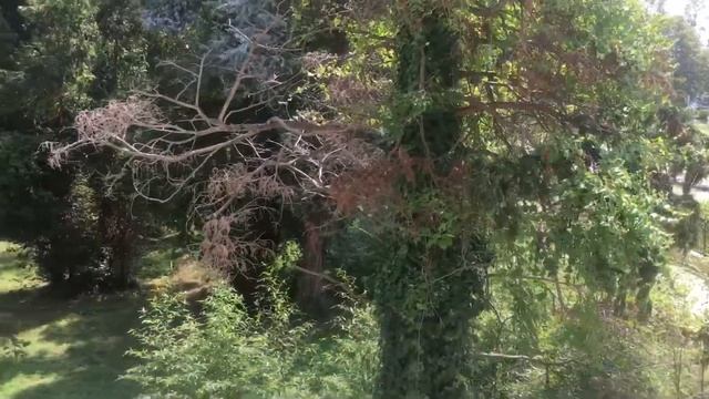 Квартира у моря в парке «Южные Культуры» возле Олимпийского парка в Сочи Адлер смотреть онлайн