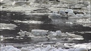 Ф. И. Тютчев "Весенние воды" (Еще в полях белеет снег...)