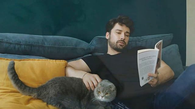 Как живет турецкий актер Альп Навруз смотреть онлайн