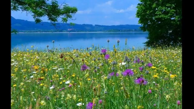 Какие краски дарит осень смотреть онлайн