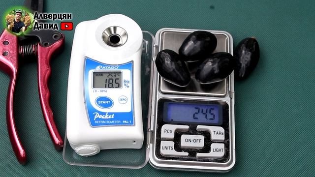 Виноград - Ромбик. смотреть онлайн