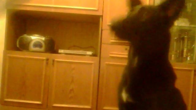 команда служить... дэниел из Республики Коми смотреть онлайн