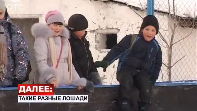 Школьники Колыванского района получили в подарок к Новому году хоккейную коробку смотреть онлайн