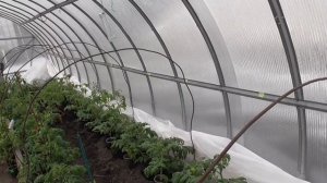 Сколько стоит ночь обогрева теплицы Инфракрасным обогревателем? У всех по разному! У меня 64 рубля.