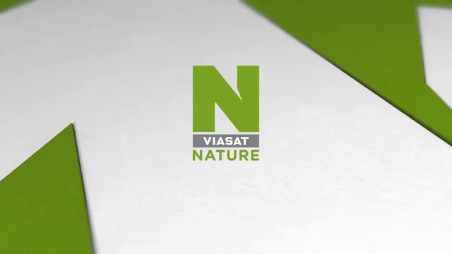 ЗаставкаViasat Nature2021-2022