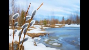 Проверим себя и оценим свои достижения  Люблю природу русскую Весна