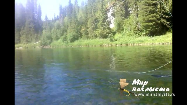 Сплав река Березовая 22-29.07.18- хариус- World fly fishing смотреть онлайн