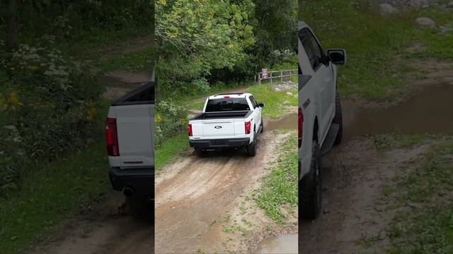 2024 Ford F 150 Tremor | #shorts #fordf150 #f150tremor смотреть онлайн