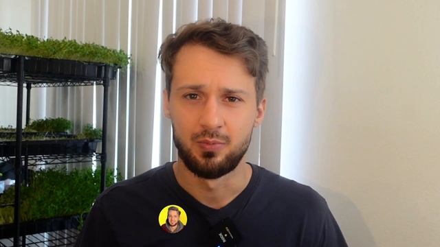 Социальные Сети: Вред Или Польза? От Зависимости К Бизнесу смотреть онлайн