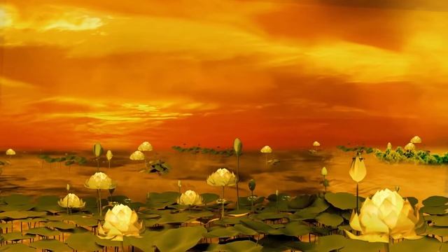 Lotus Pond - 3D Video смотреть онлайн