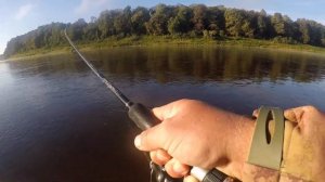 РЫБАЛКА, ОСЕННИЙ ЖОР ЖЕРЕХА. Начало активности хищника. Ловля крупного жереха. Рыбалка на  Двине.