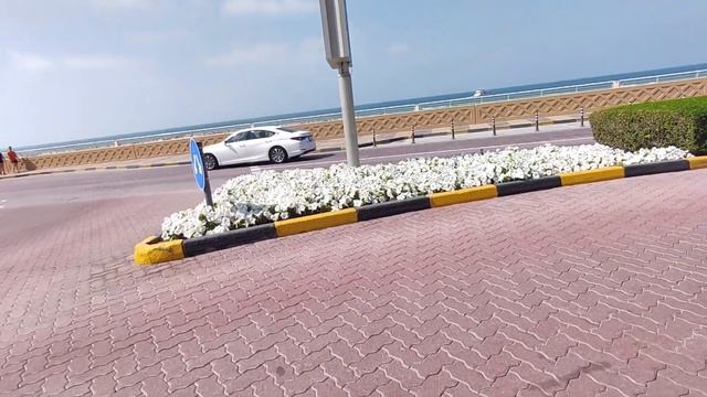 ОАЭ. Пляж в Шардже. Дубай. Пальма Джумейра. Expo2020. Февраль 2023