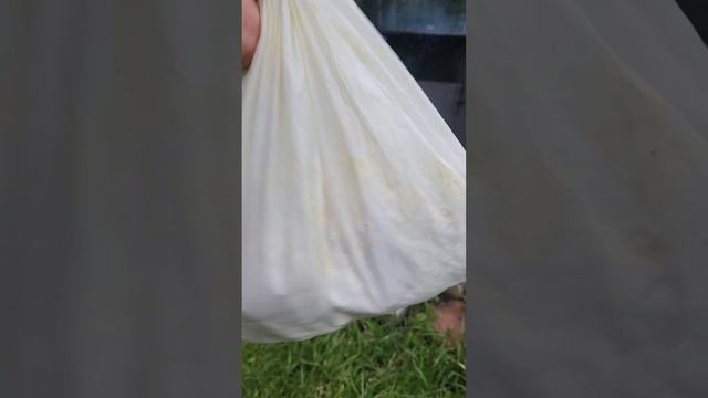 Куриные крылья в кляре смотреть онлайн