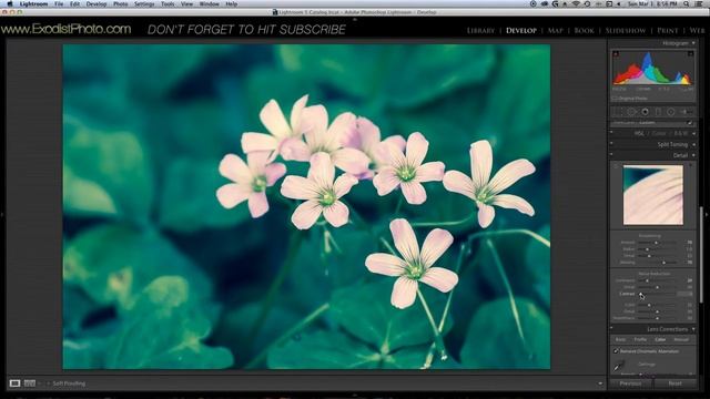 Creative Lighting With The Adjustment Brush | Lightroom 5 Tutorial смотреть онлайн