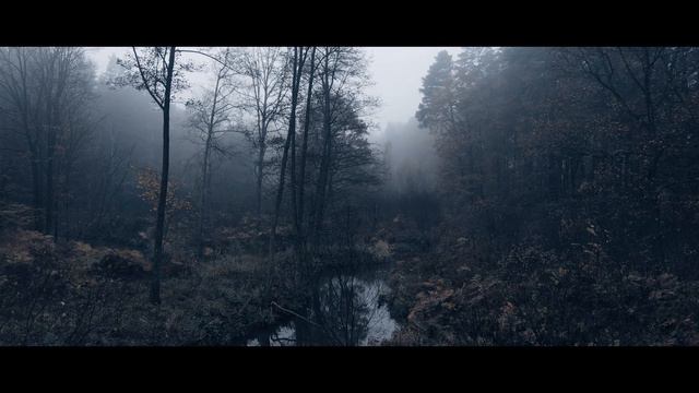 Fog in the forest смотреть онлайн