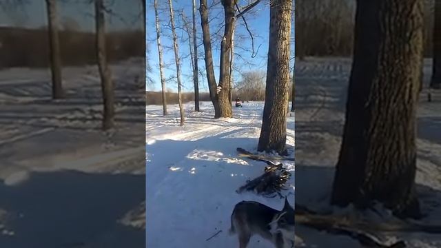 Рмк 800 Дракон Лесное смотреть онлайн