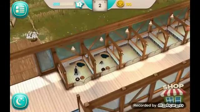 dog hotel game смотреть онлайн