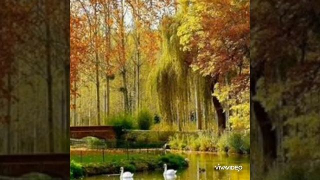 Осенний блюз. Из хф."Долгая дорога в дюнах"Осеннего,хорошего настроения друзья.❤️? смотреть онлайн