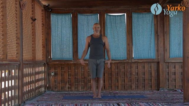 Йога для начинающих Тадасана, Поза Горы, Самастхити. смотреть онлайн