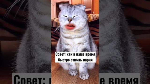 Как в наше время быстро отшить парня? смотреть онлайн