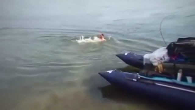 Вот как надо рыбу ловить!!! смотреть онлайн