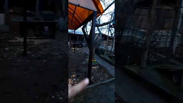 Установили небольшой навес.