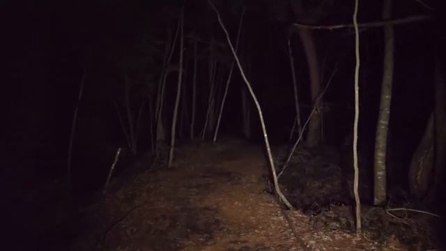 СТРАШНЫЕ ЗВУКИ НОЧЬЮ В ЛЕСУ ЗАГАДКИ ЛЕСА ХОРРОР