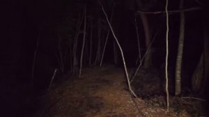 СТРАШНЫЕ ЗВУКИ НОЧЬЮ В ЛЕСУ ЗАГАДКИ ЛЕСА ХОРРОР