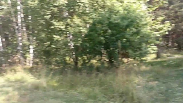 Деревня Платово. Суворовский район. Озеро, карьеры, стоит ли купаться смотреть онлайн