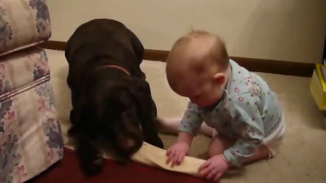 Zuriah stealing Macey's bone смотреть онлайн