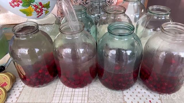 ВИШНЁВЫЙ КОМПОТ ‼️САМЫЙ НАДЁЖНЫЙ И БЫСТРЫЙ СПОСОБ ЗАКРЫВАТЬ НА ЗИМУ ⁉️⁉️ смотреть онлайн