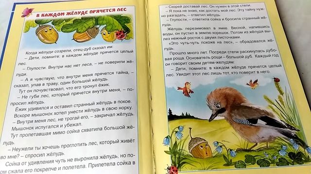 Мудрые пословицы в сказках. В каждом жёлуде прячется лес. смотреть онлайн