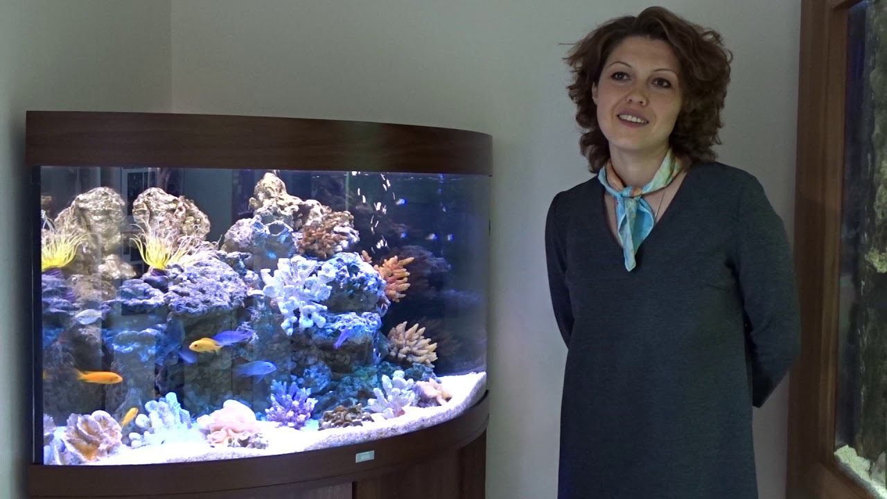 #Аквариум с тумбой TRIGON 190 смотреть онлайн