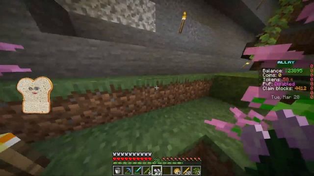I FOUND A CROSSPLAT SERVER! IP: smc.allaysmp.com #Minecraft #live #java смотреть онлайн