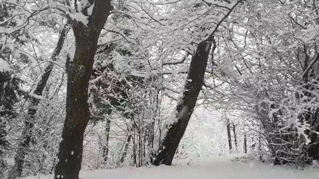 Падай, падай талый снег... смотреть онлайн
