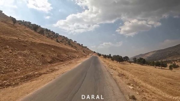 "Amir and his family transform their personal yard with beautiful flowers and greenery"