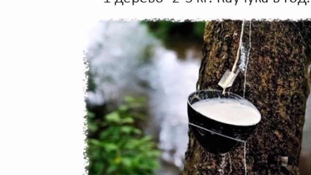 Диены Каучук История открытия. смотреть онлайн