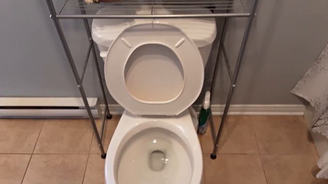 Baldur's Gate 3 Real Life Bathroom смотреть онлайн