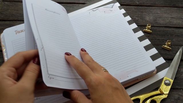 Планер / блокнот учителя смотреть онлайн