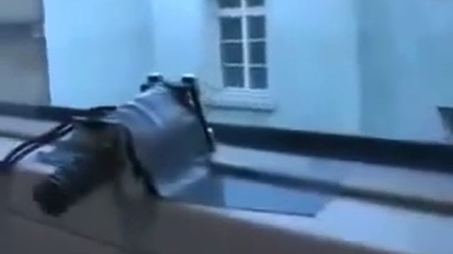 Как Проучить шумных соседей(да и пол дома походу) смотреть онлайн