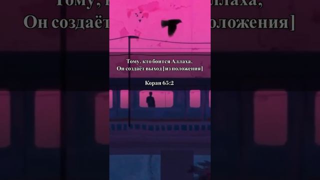 Тому, кто боится Аллаха, Он создаёт выход [из положения]Коран 65:2 смотреть онлайн