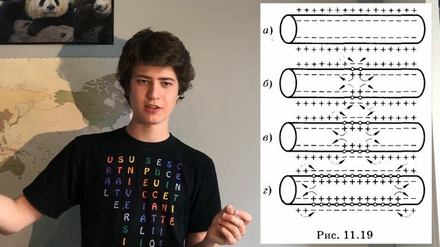 Нейробиология. Часть 2. Что такое нервный импульс смотреть онлайн