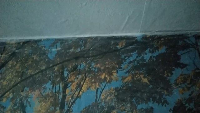 Переоборудовал вибродинамик, сделал компактнее :) смотреть онлайн