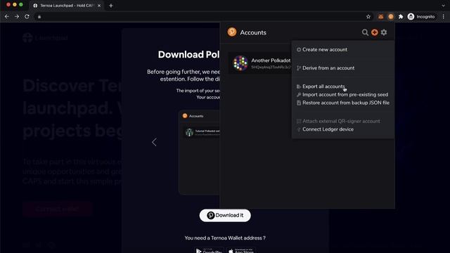 Ternoa Launchpad - How to Connect Your Wallets смотреть онлайн