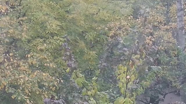 Ежик и бочка 538735