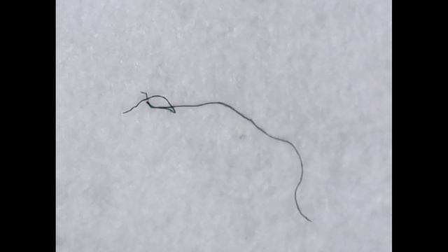 Черные нити РЕАКЦИЯ НА СЛЮНУ смотреть онлайн