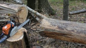 Бензопилы Тайга-214 и STIHL MS-180.Заготовка дров в лесу. Тайга или Stihl?.