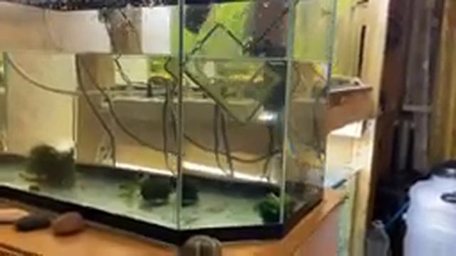 чистка 100 л аквариума смотреть онлайн