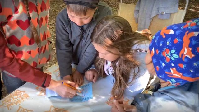 Квест «расследование в зоопарке» на природе для детей 7,8,9 лет смотреть онлайн